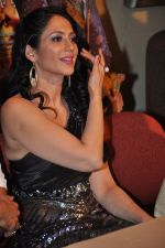 Kalpana Pandit at the launch of her new film in Raheja Classic, Mumbai on 5th Feb 2013 (8).JPG